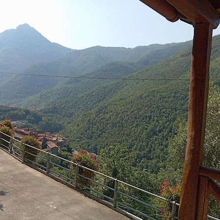 Agriturismo U' Spigu Nonna Annetta Villa Nasino Bagian luar foto