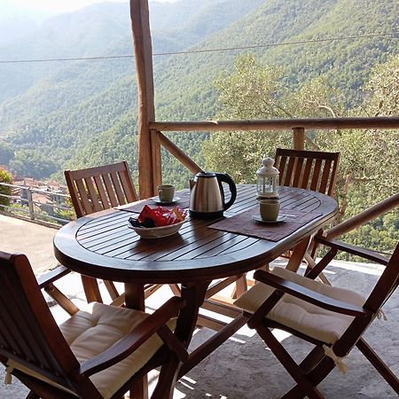 Agriturismo U' Spigu Nonna Annetta Nasino Bagian luar foto