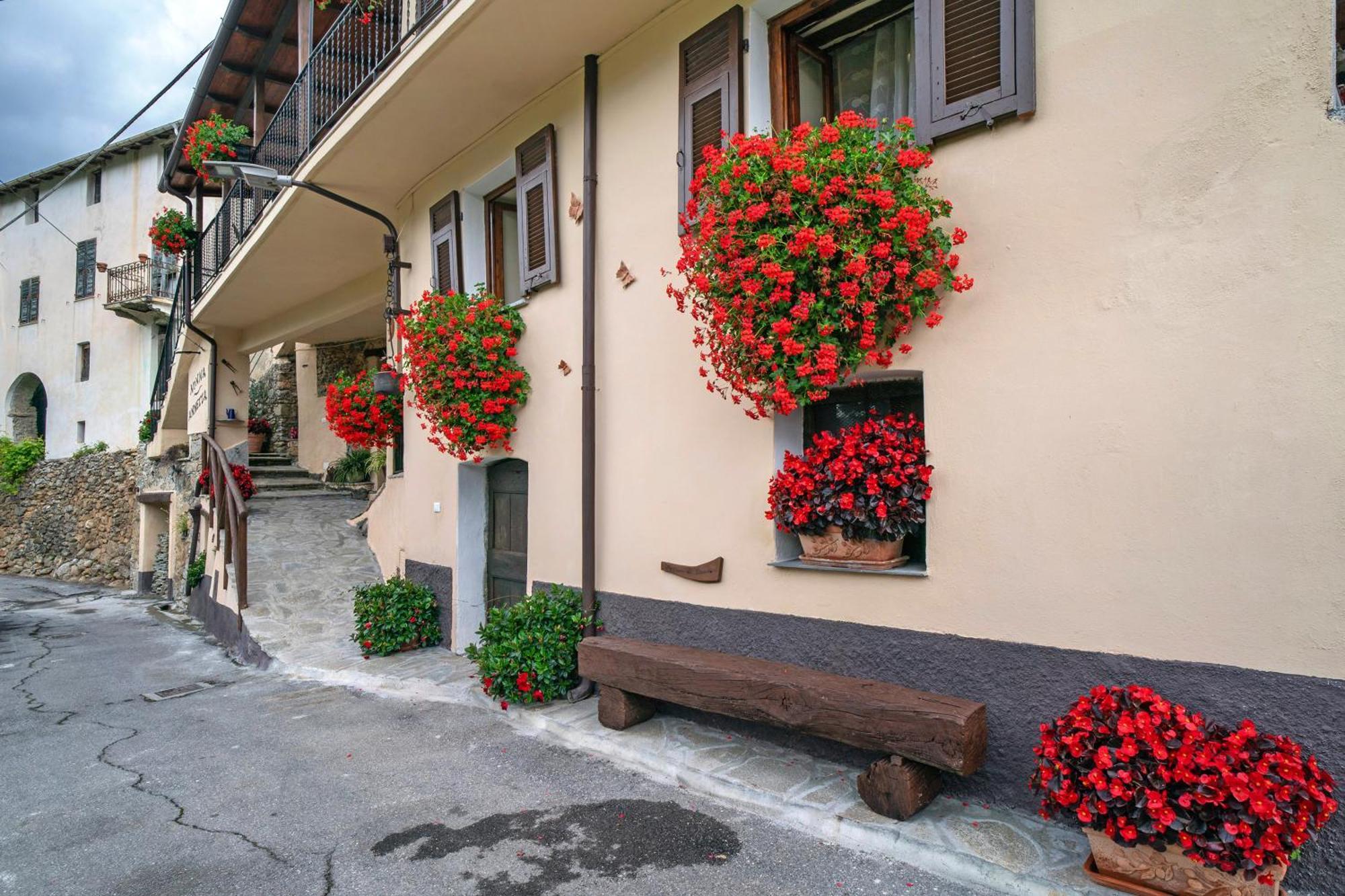 Agriturismo U' Spigu Nonna Annetta Villa Nasino Bagian luar foto