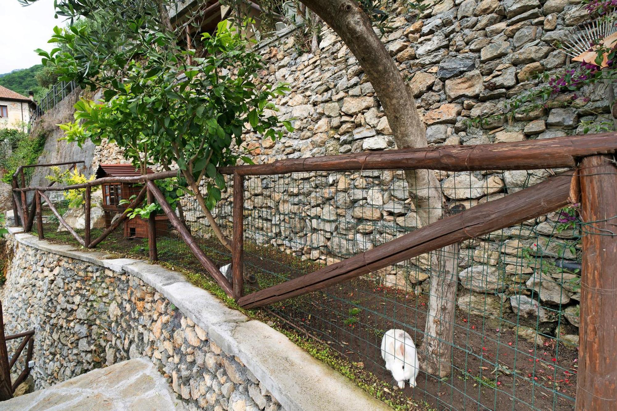 Agriturismo U' Spigu Nonna Annetta Nasino Bagian luar foto