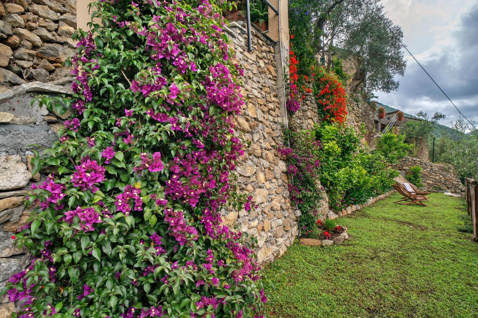 Agriturismo U' Spigu Nonna Annetta Nasino Bagian luar foto