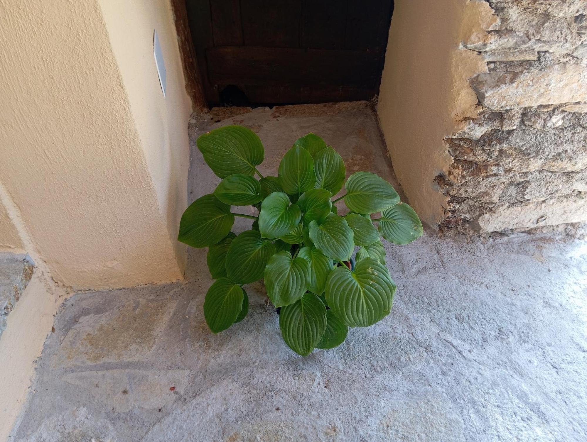 Agriturismo U' Spigu Nonna Annetta Nasino Bagian luar foto